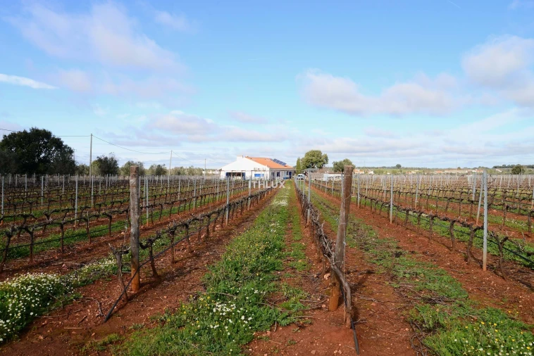 Quinta T4 para Venda em São Marcos da Ataboeira Foto 6
