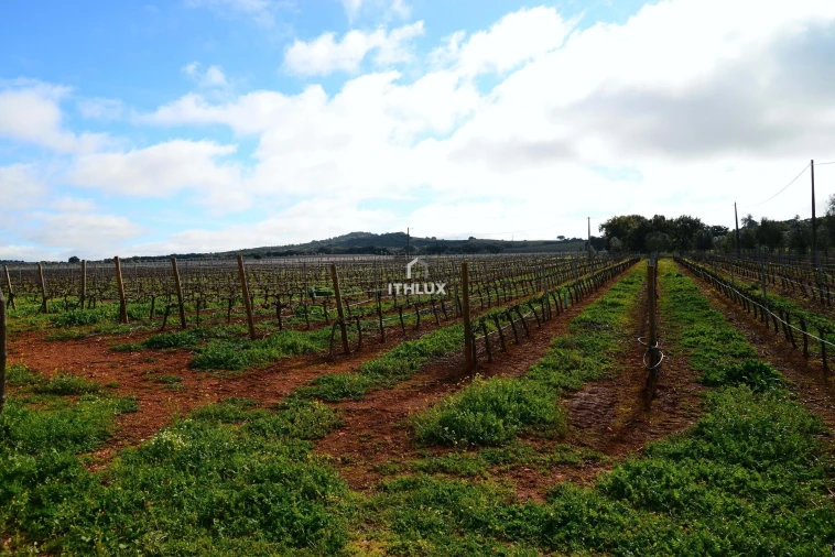 Quinta T4 para Venda em São Marcos da Ataboeira Foto 49