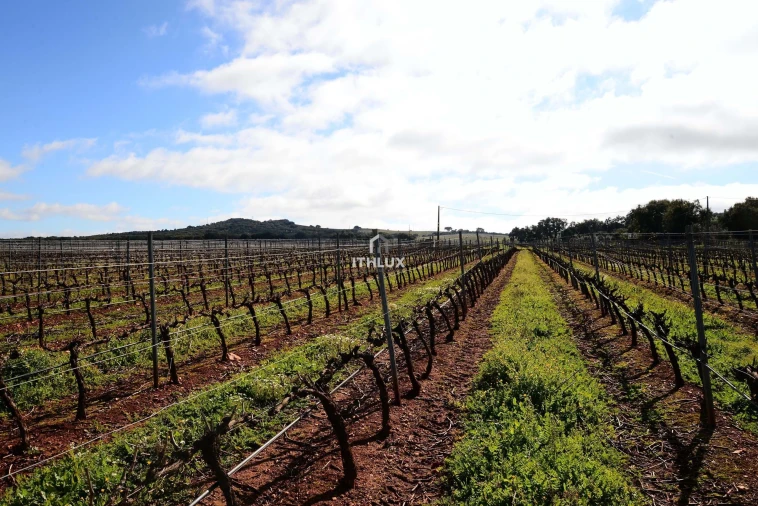 Quinta T4 para Venda em São Marcos da Ataboeira Foto 47