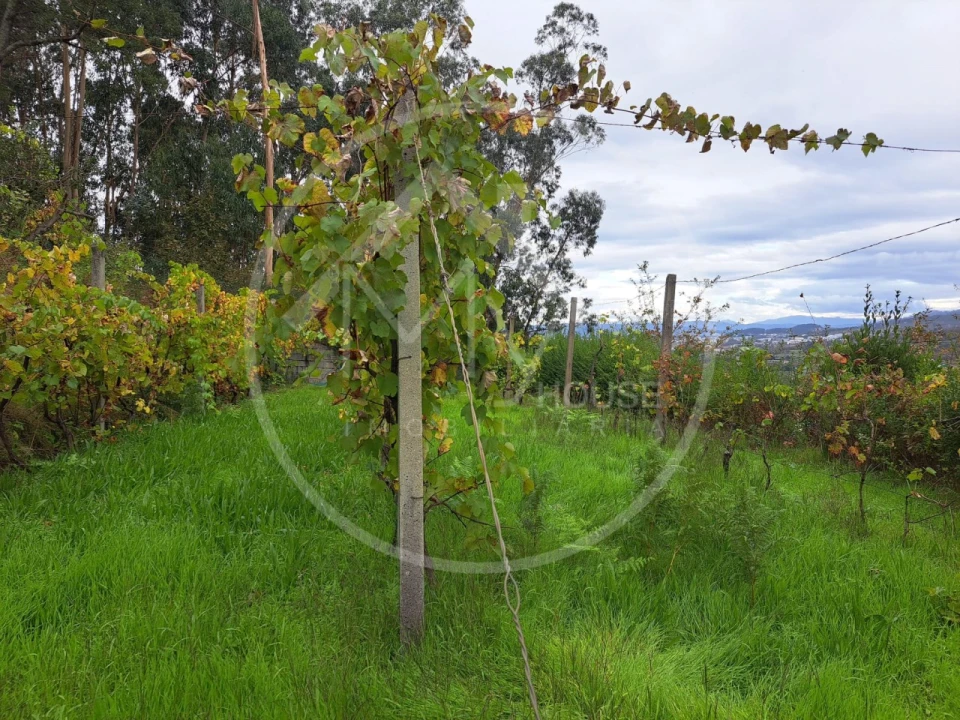 Moradia T5 para Venda em Silvares Foto 6