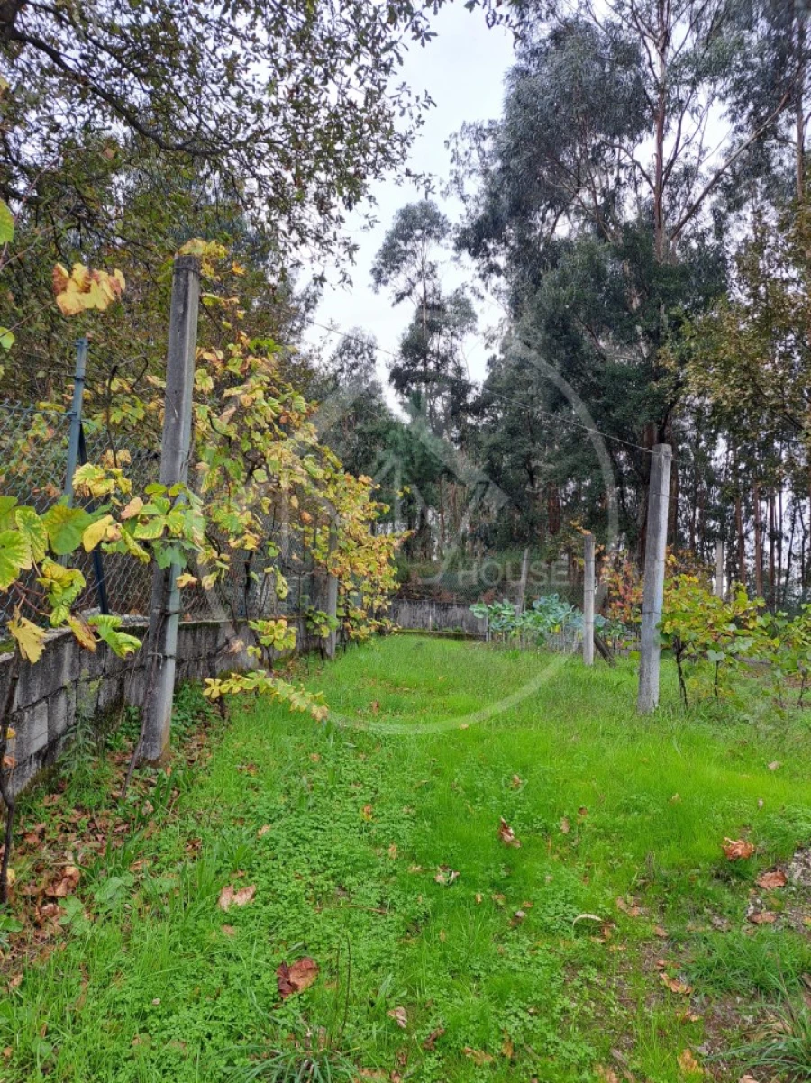 Moradia T5 para Venda em Silvares Foto 7