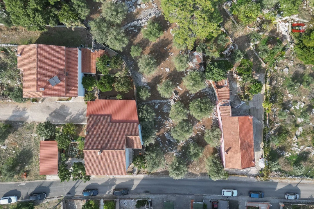 Terreno P/ Prédio para Venda em Mira de Aire Foto 9