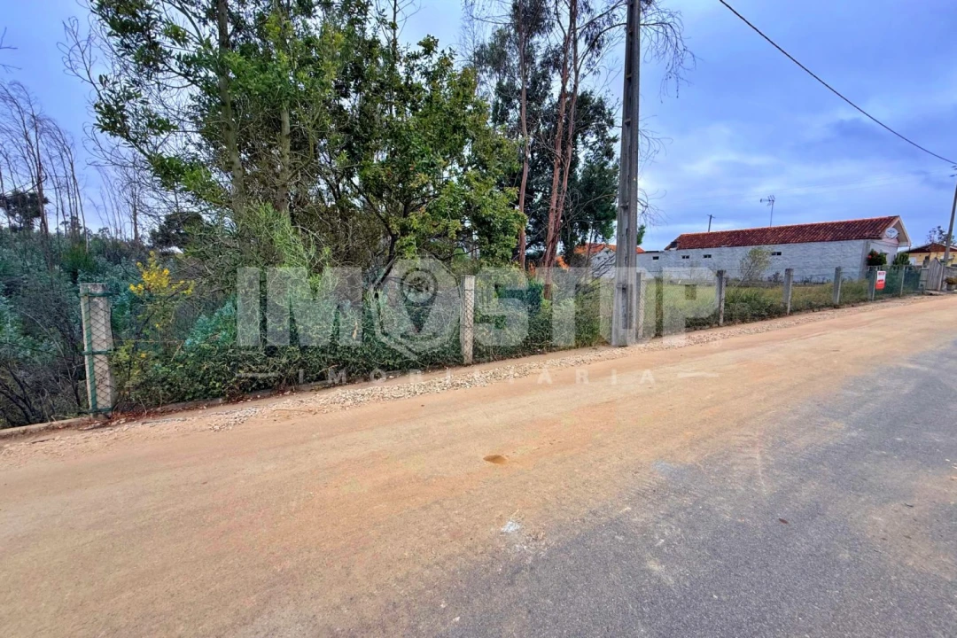 Terreno para Venda em Angeja Foto 4