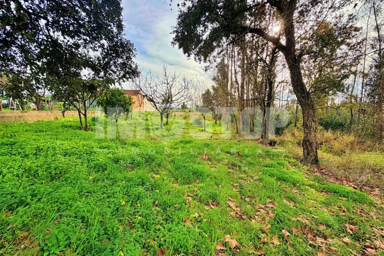 Terreno para Venda em Angeja Foto 6
