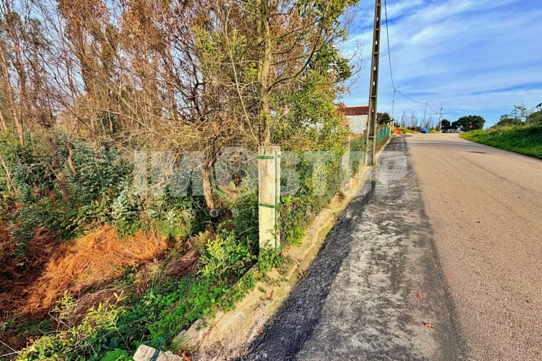 Terreno para Venda em Angeja Foto 9