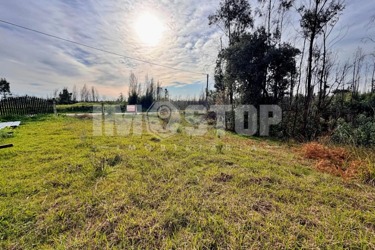 Terreno para Venda em Angeja Foto 8