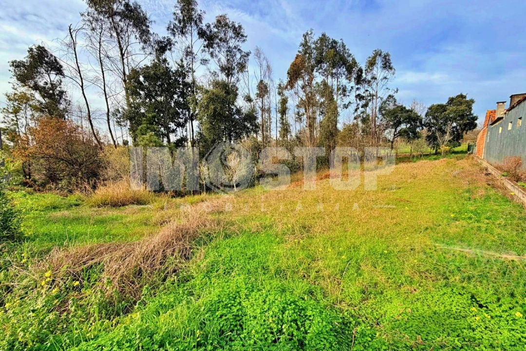 Terreno para Venda em Angeja Foto 2
