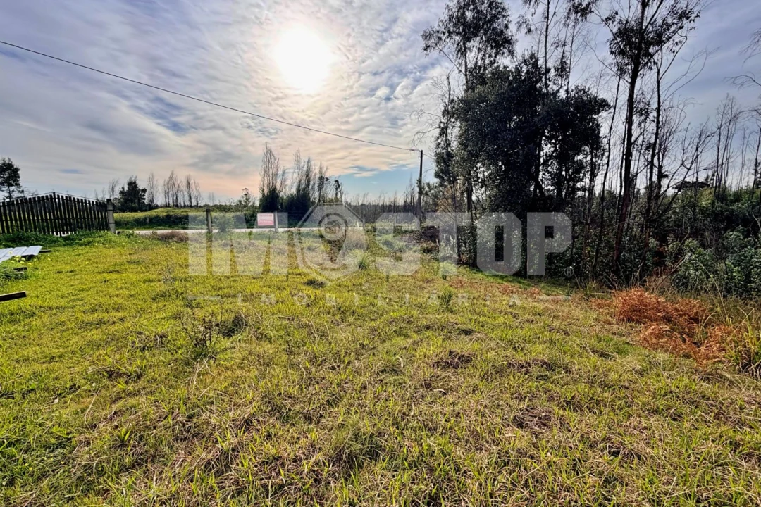 Terreno para Venda em Angeja Foto 8