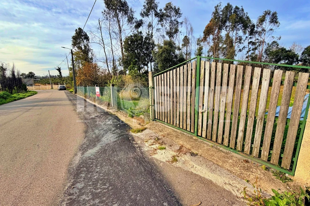 Terreno para Venda em Angeja Foto 1