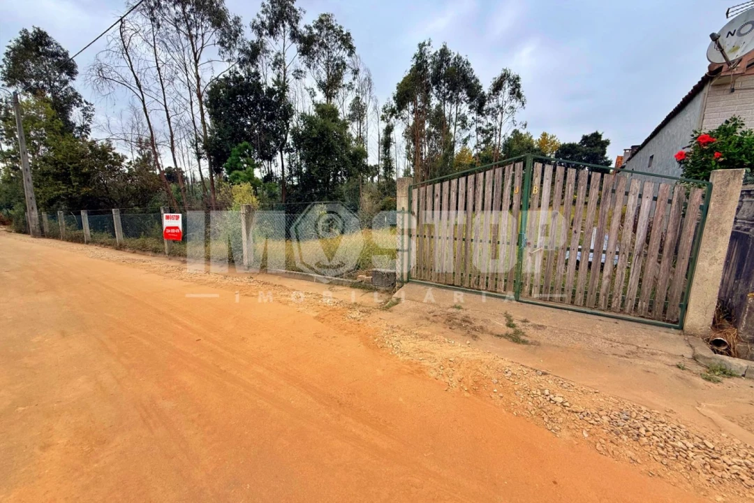 Terreno para Venda em Angeja Foto 1