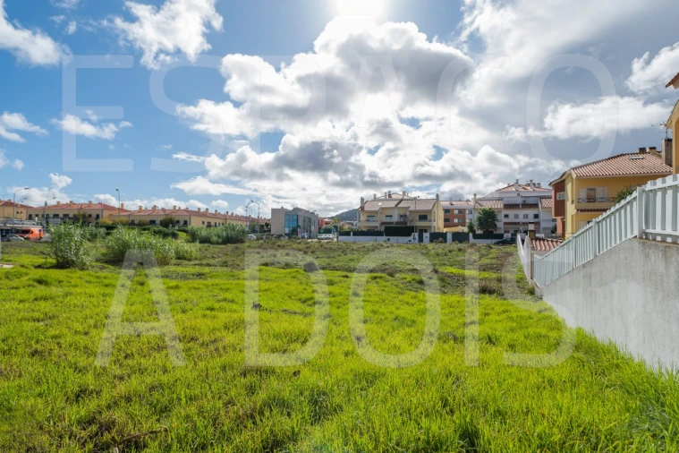 Terreno para Venda em Santa Maria e São Miguel, São Martinho, São Pedro Penaferrim Foto 5