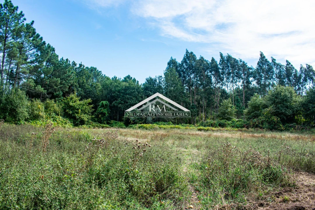 Terreno para Venda em Cerdal Foto 7