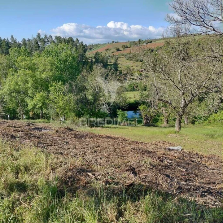 Terreno para Venda em Sé, Santa Maria e Meixedo Foto 4