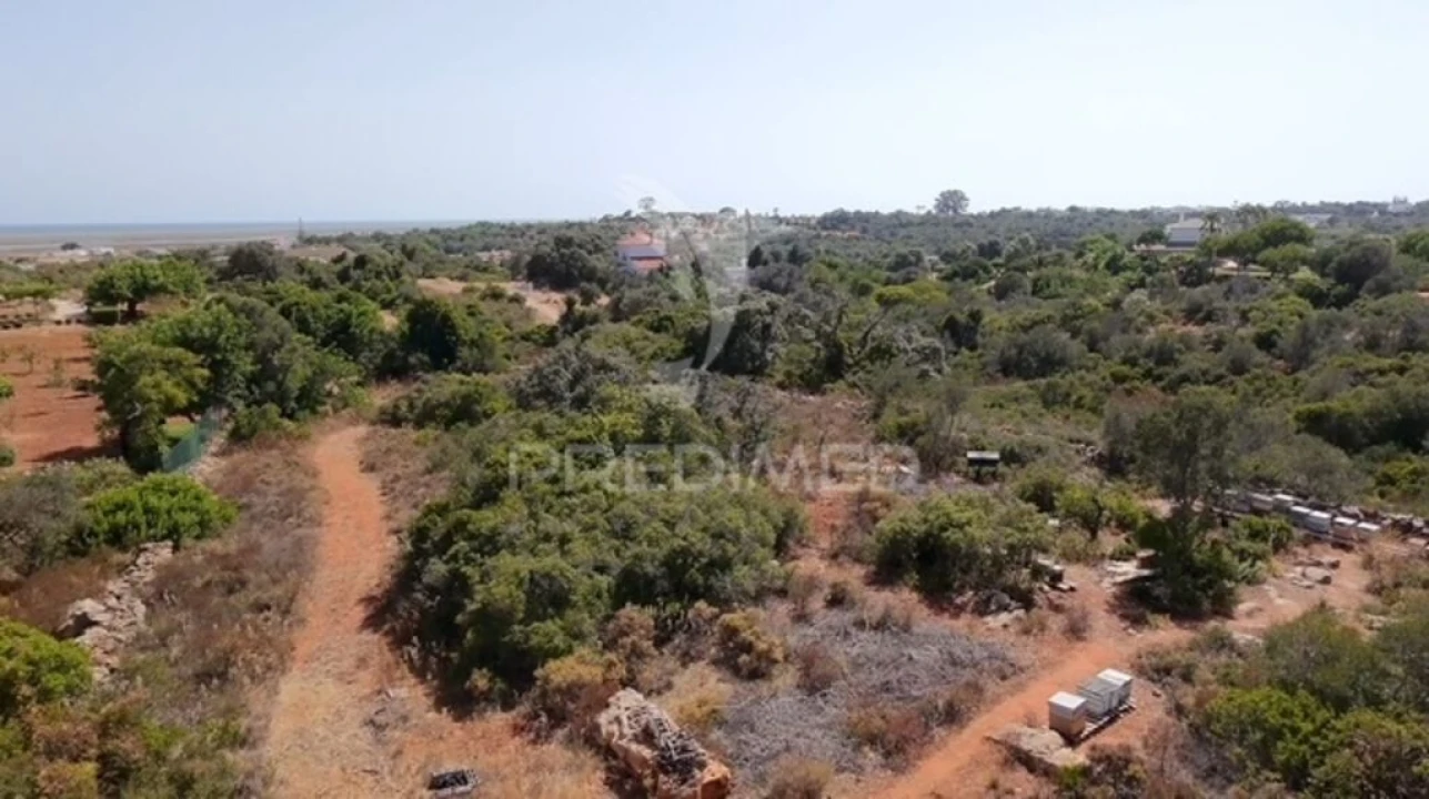 Terreno para Venda em Moncarapacho e Fuseta Foto 5