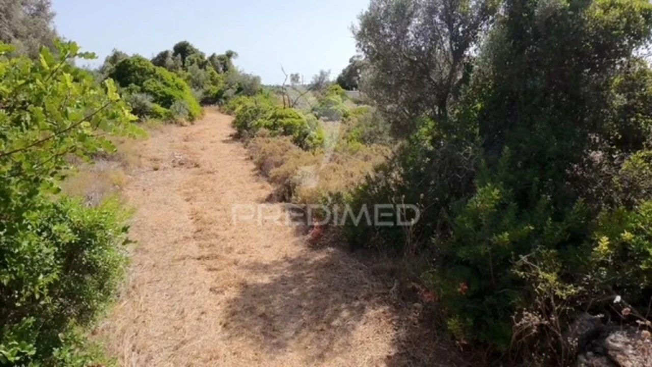 Terreno para Venda em Moncarapacho e Fuseta Foto 4