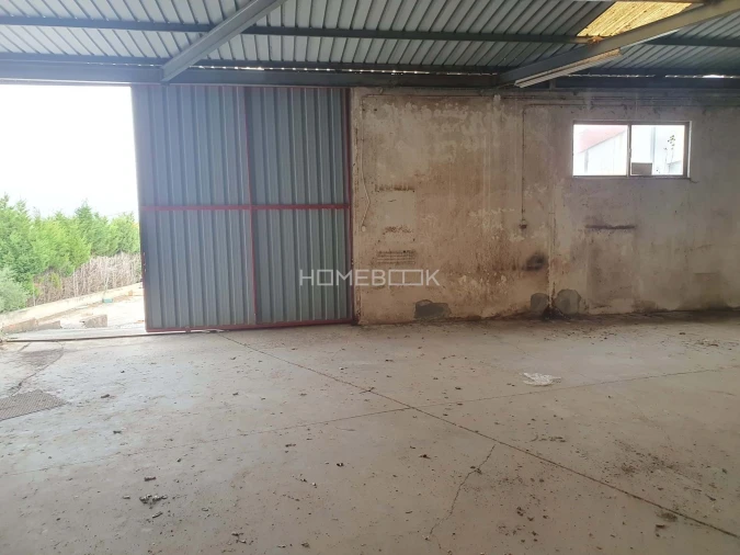 Armazém para Venda em Juncal Foto 4