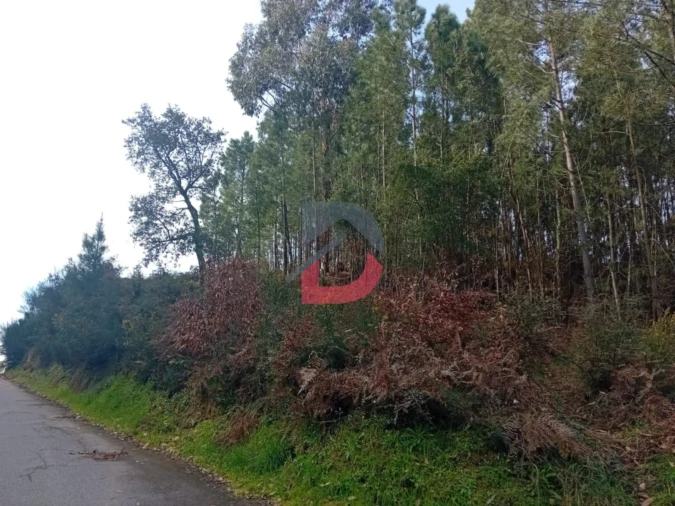 Terreno Agricola ou Rústico para Venda em São Martinho de Sardoura