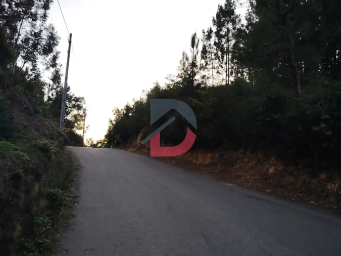 Terreno Agricola ou Rústico para Venda em São Martinho de Sardoura Foto 5