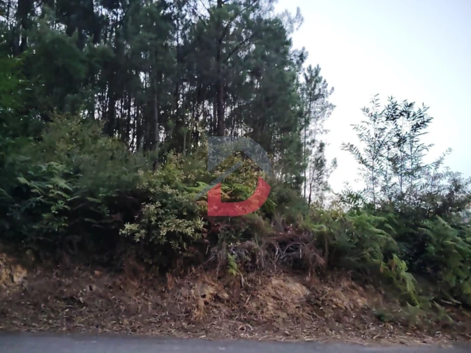 Terreno Agricola ou Rústico para Venda em São Martinho de Sardoura Foto 2