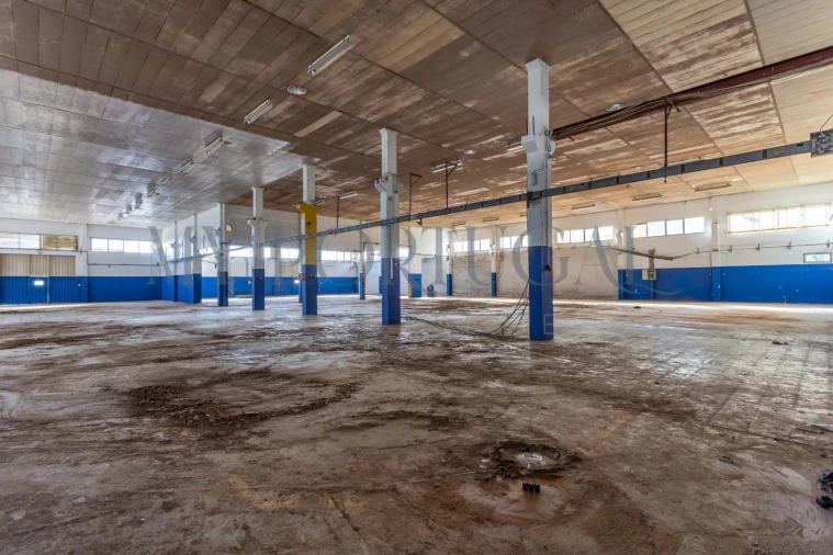 Armazém para Venda em Massamá e Monte Abraão Foto 24