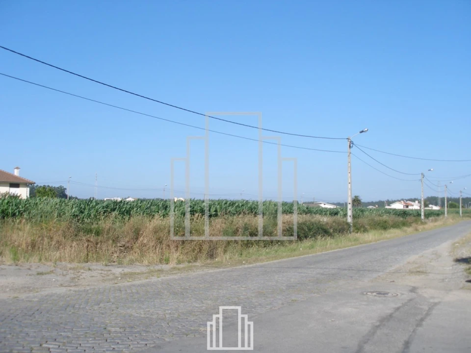 Terreno Agricola ou Rústico para Venda em Valega Foto 3