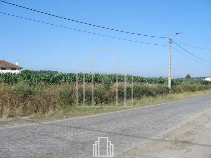 Terreno Agricola ou Rústico para Venda em Valega Foto 2