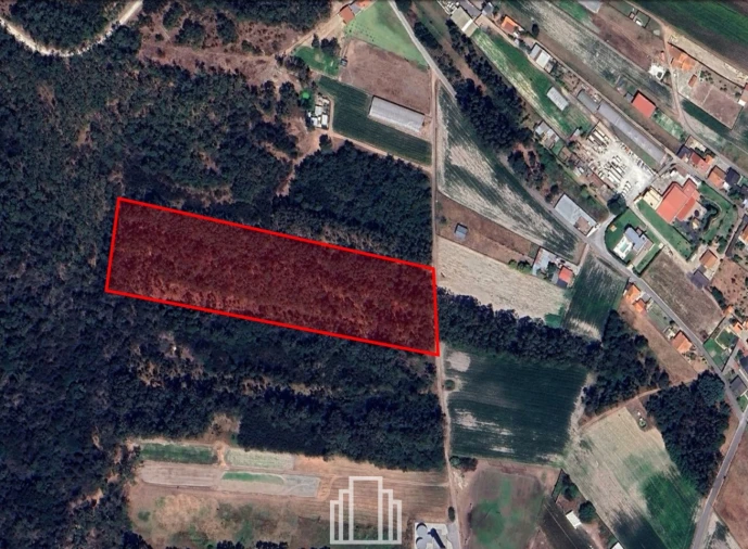 Terreno Agricola ou Rústico para Venda em Torreira Foto 1