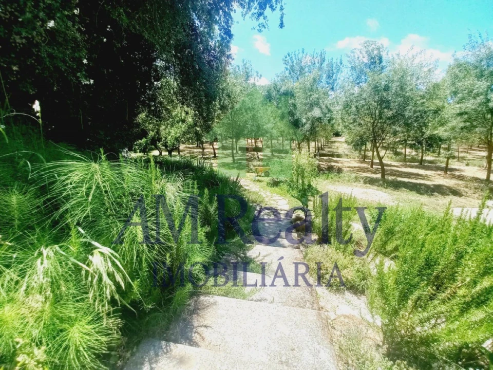 Moradia T4 para Venda em Peral Foto 22