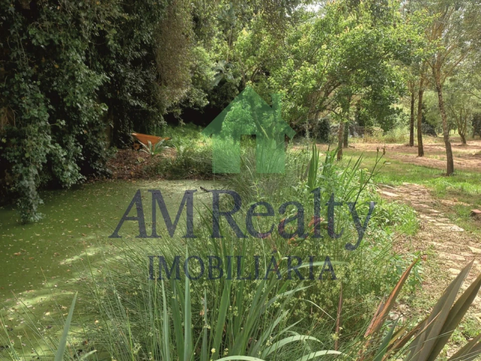 Moradia T4 para Venda em Peral Foto 25