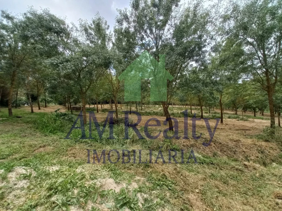 Moradia T4 para Venda em Peral Foto 27