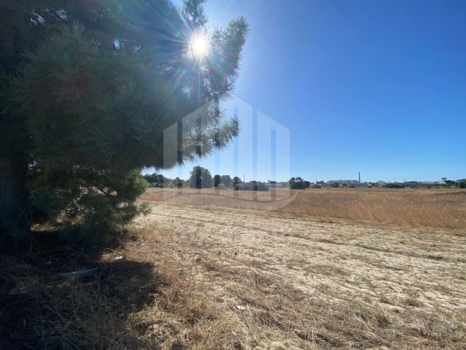 Quinta para Venda em Pinhal Novo Foto 4