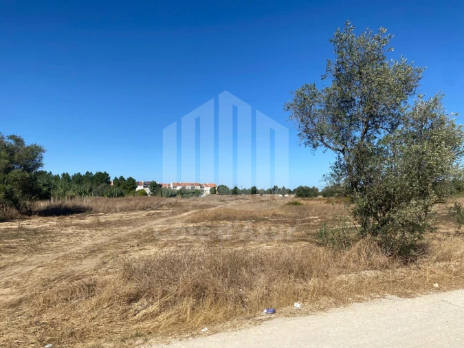 Quinta para Venda em Pinhal Novo Foto 6