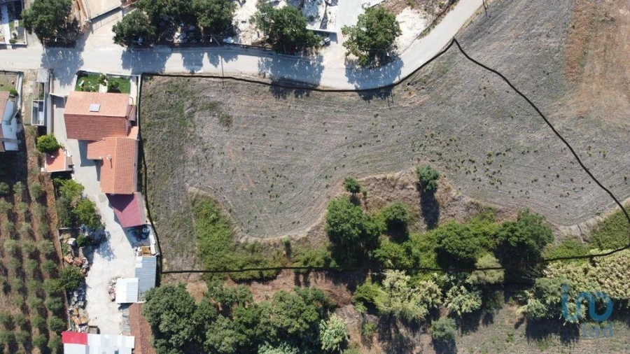 Terreno para Venda em Alcobertas Foto 3