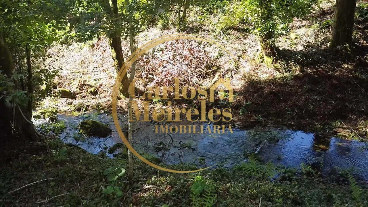 Terreno para Venda em Ribeira do Neiva Foto 2