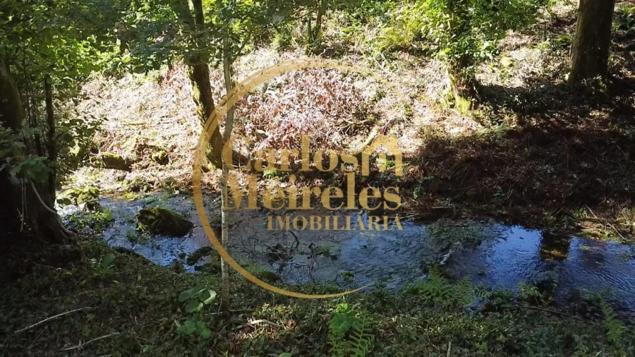 Terreno para Venda em Ribeira do Neiva Foto 2