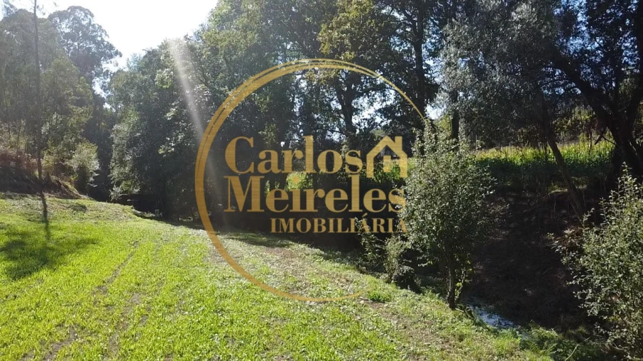 Terreno para Venda em Ribeira do Neiva Foto 3