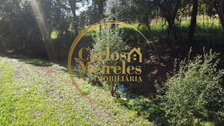 Terreno para Venda em Ribeira do Neiva Foto 4