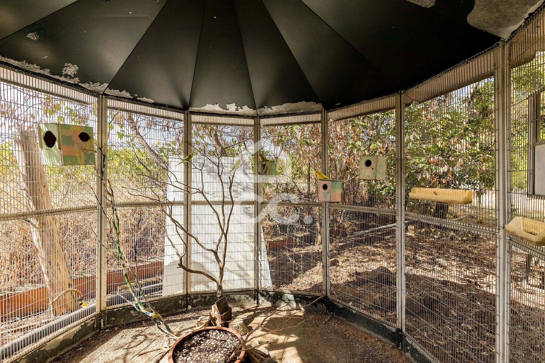 Quinta T4 para Venda em Borba (Matriz) Foto 71