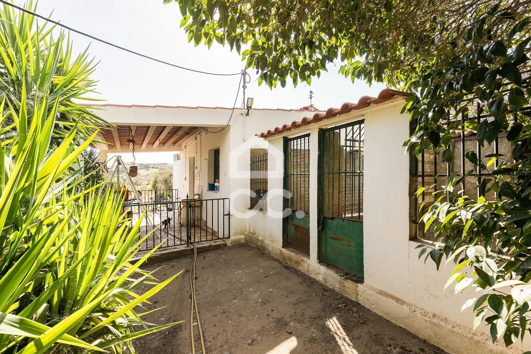 Quinta T4 para Venda em Borba (Matriz) Foto 68