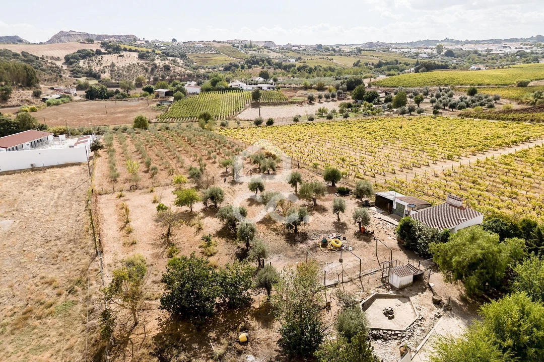 Quinta T4 para Venda em Borba (Matriz) Foto 79