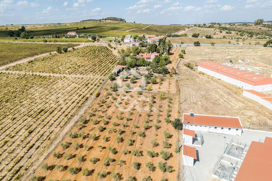 Quinta T4 para Venda em Borba (Matriz) Foto 82