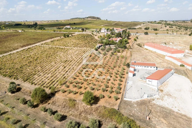 Quinta T4 para Venda em Borba (Matriz) Foto 81