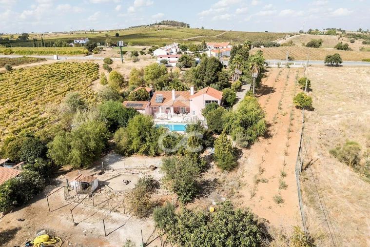 Quinta T4 para Venda em Borba (Matriz) Foto 85