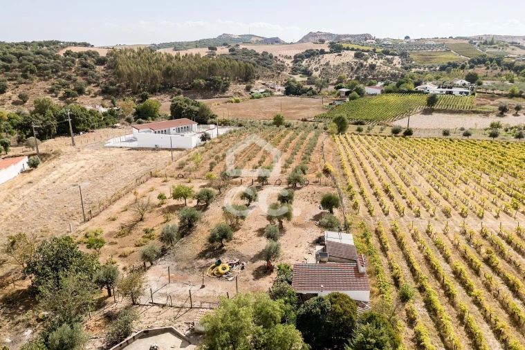 Quinta T4 para Venda em Borba (Matriz) Foto 78