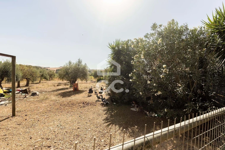 Quinta T4 para Venda em Borba (Matriz) Foto 65