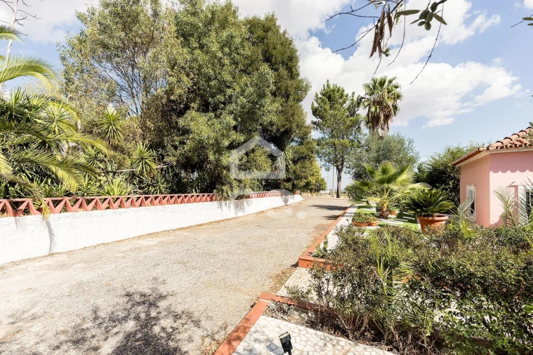 Quinta T4 para Venda em Borba (Matriz) Foto 54