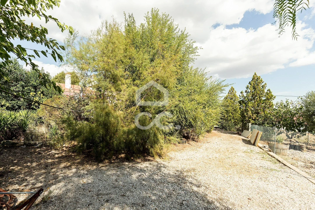 Quinta T4 para Venda em Borba (Matriz) Foto 70