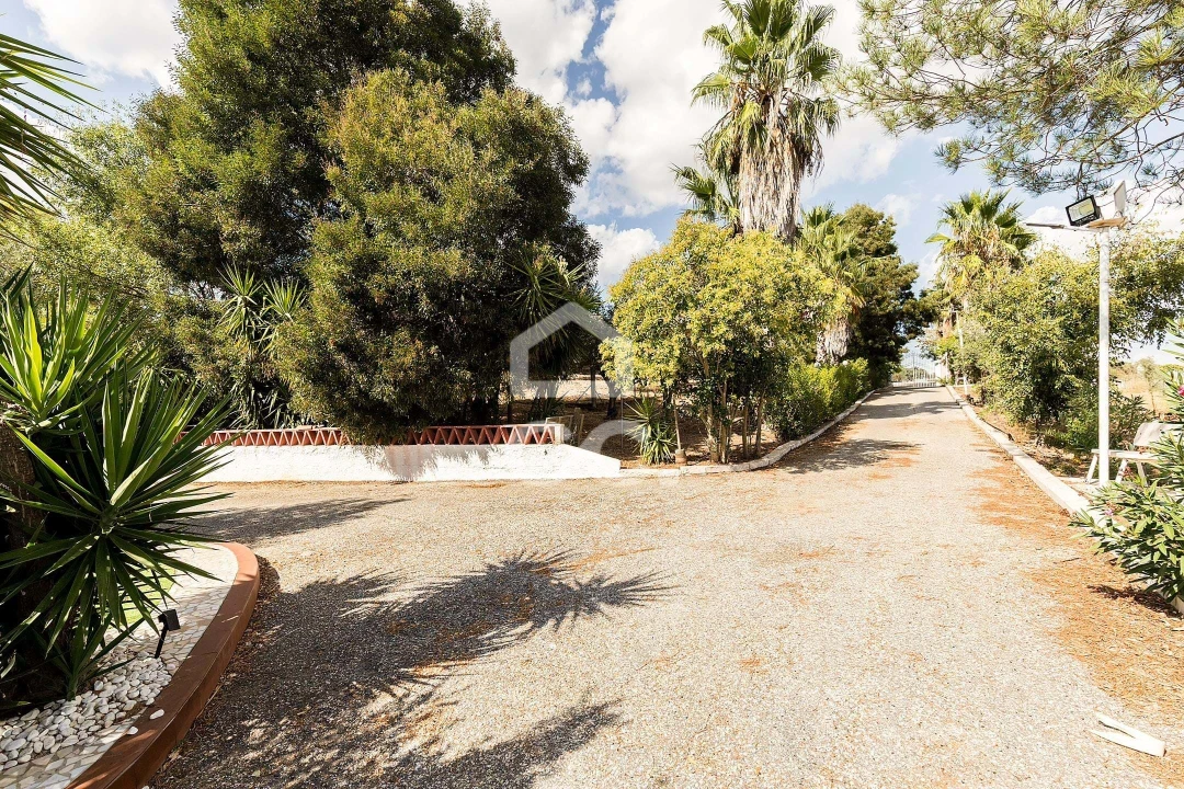 Quinta T4 para Venda em Borba (Matriz) Foto 49