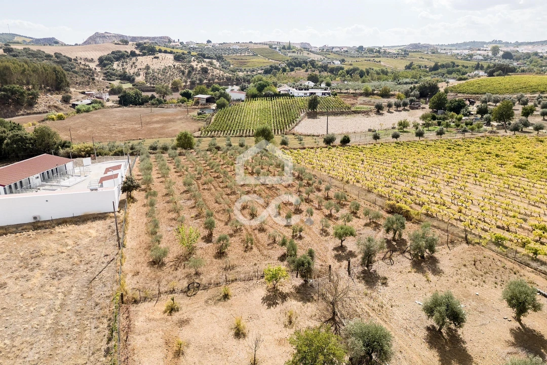 Quinta T4 para Venda em Borba (Matriz) Foto 80