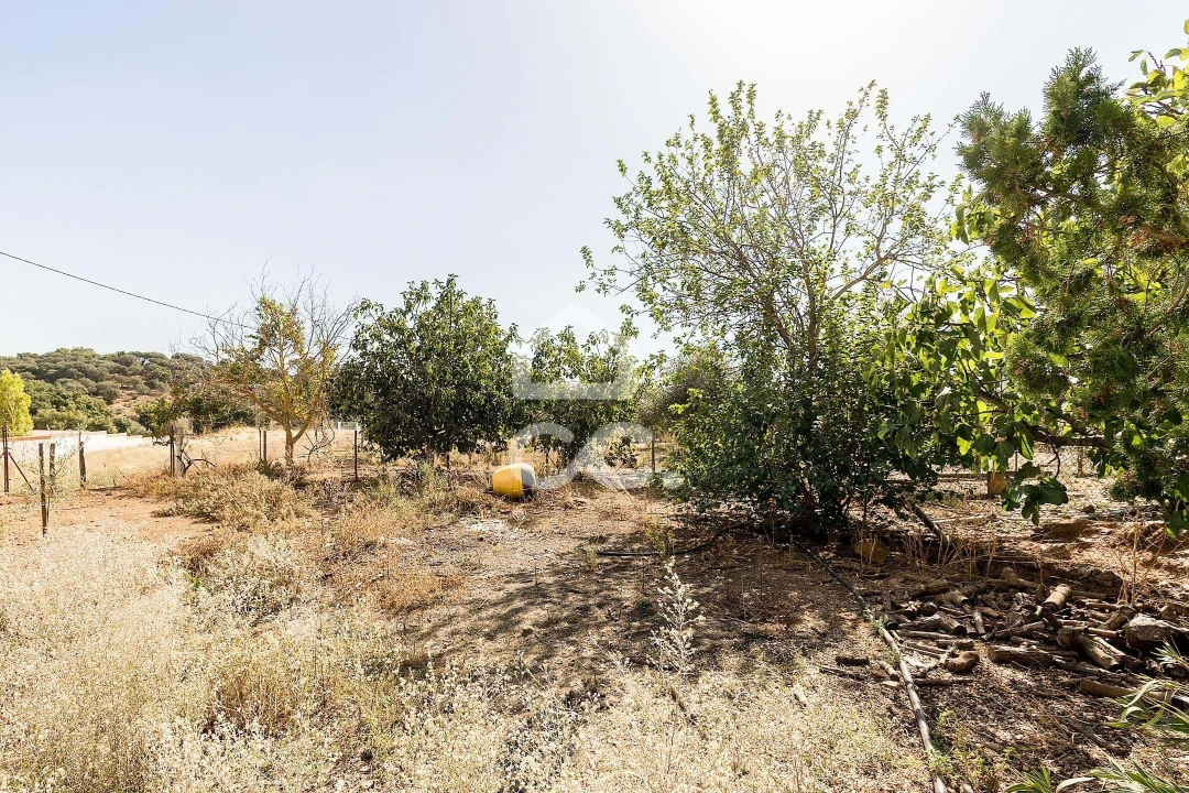 Quinta T4 para Venda em Borba (Matriz) Foto 66